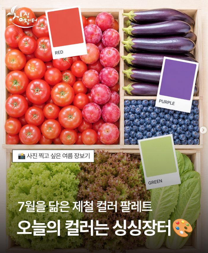 여름은 색으로 먼저 즐기는 계절